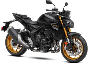 Hornet 1000 SP